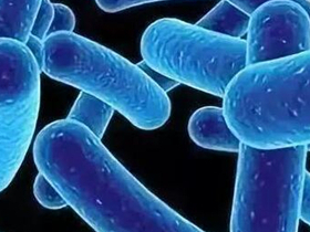 新生儿益生菌怎么吃?可以长期吃吗?能和抗生素能一起吃吗