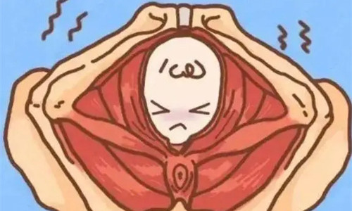 妈妈生育孩子卡通图