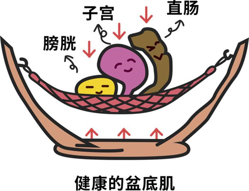 月子里能做产后修复吗？好不好？揭晓做产后修复的更佳时间、费用及频率